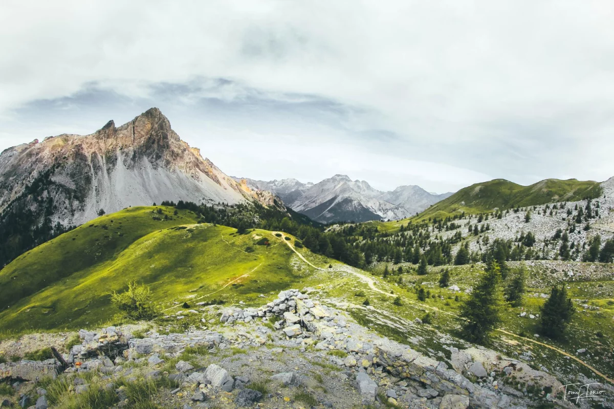 Jak nauczyć się tańca - stawka godzinowa